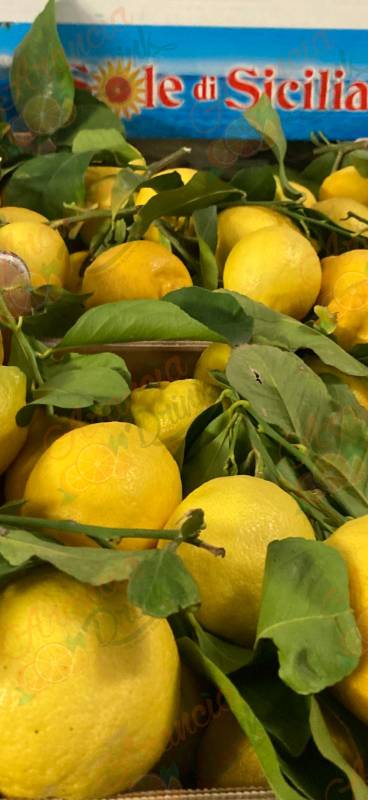 Limoni Naturali (Solo Estero) FRANCIA GERMANIA OLANDA BELGIO